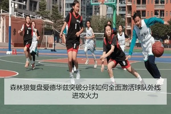 森林狼复盘爱德华兹突破分球如何全面激活球队外线进攻火力